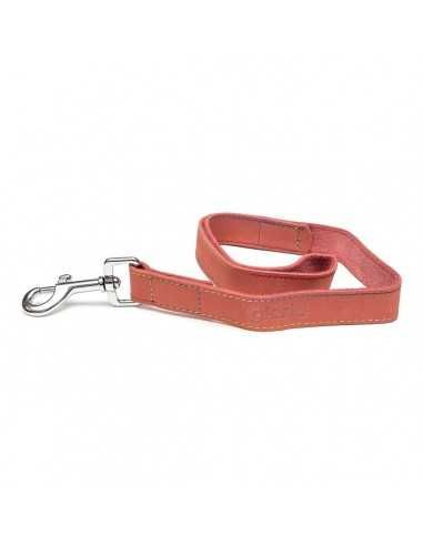 Correa para Perro Gloria Oasis 1.5 x...