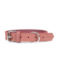 Collar para Perro Gloria...