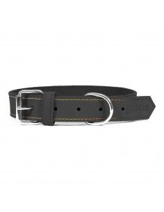 Collar para Perro Gloria...