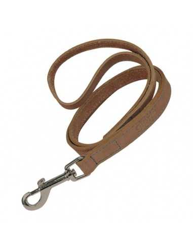 Correa para Perro Gloria Oasis 1.5 x...