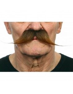 Bigote My Other Me...