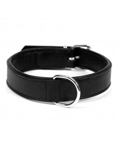Collar para Perro Gloria...