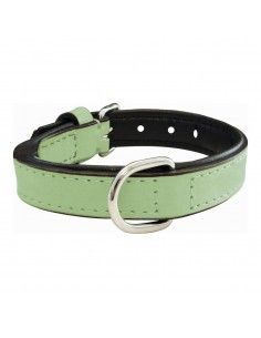Collar para Perro Gloria...