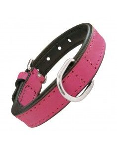 Collar para Perro Gloria...