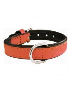 Collar para Perro Gloria...