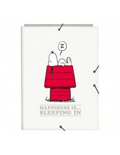 Carpeta Snoopy Friends...